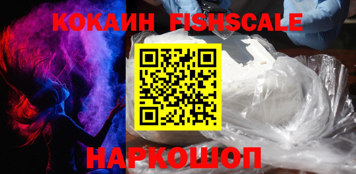 где купить наркотик  Вход с VPN  COCAIN FishScale  Гатчина  COCAIN FishScale 