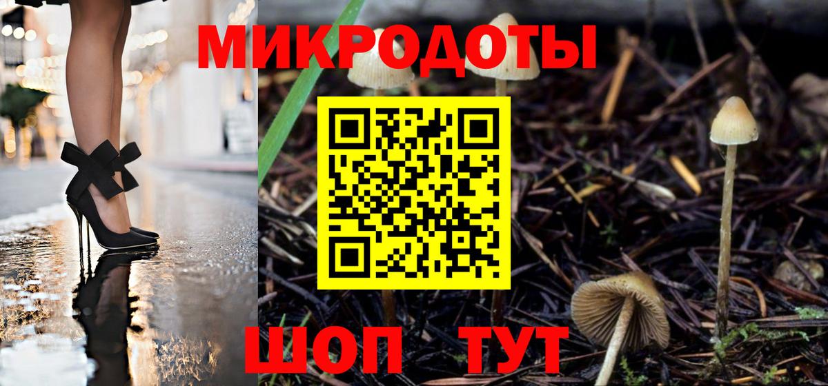 Гатчина  где купить наркоту  Псилоцибиновые грибы MAGIC MUSHROOMS  Вход с VPN  Псилоцибиновые грибы Magic Shrooms 